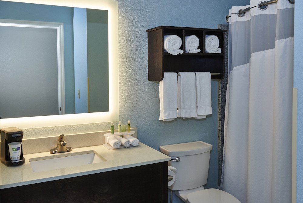 Holiday Inn Express Suites Birmingham South Pelham 16/52