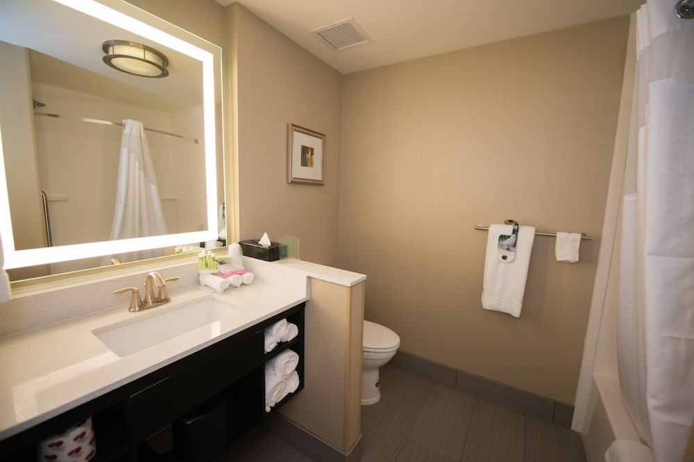Holiday Inn Express & Suites Denver South - Castle Rock 14/54