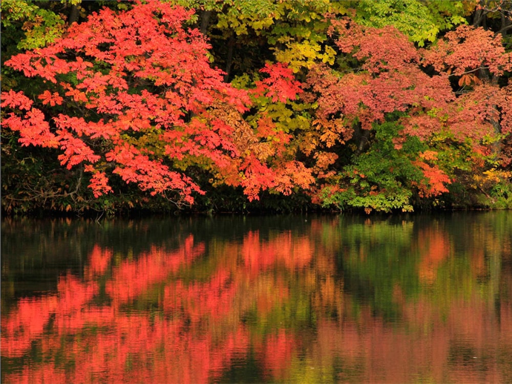 Mercure Urabandai Resort & Spa 43/46