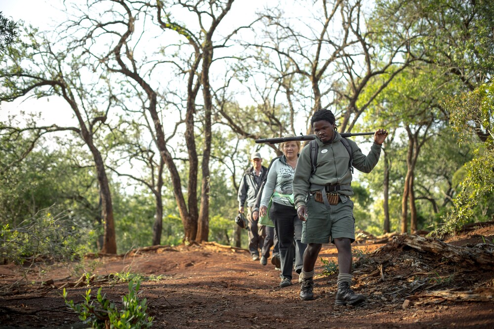 Rhino Ridge Safari Lodge 44/50