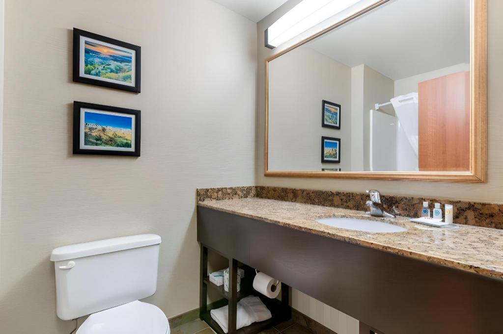 جناح بغرفة نوم واحدة، Comfort Inn & Suites Mitchell I-90 9/9