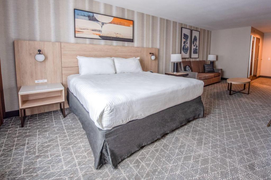 King Studio Suite with Full Size Sofa Bed