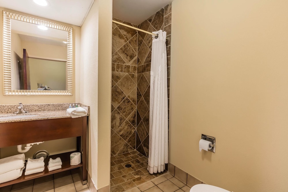 Comfort Inn & Suites Jasper Hwy 78 West 26/26