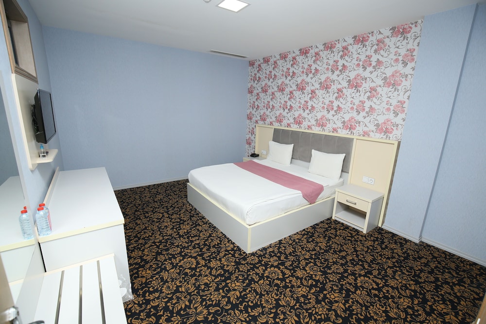 Alis Hotel Baku 16/37