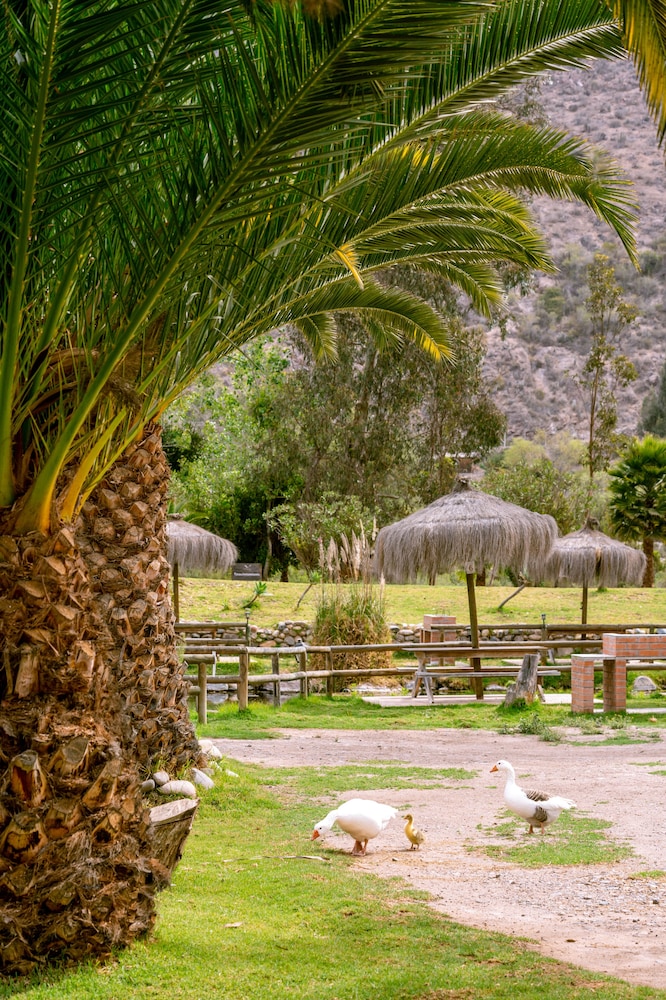 Vertientes de Elqui 41/48