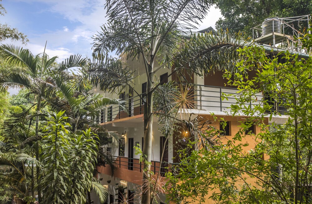 Spice Jungle Resort 11/58