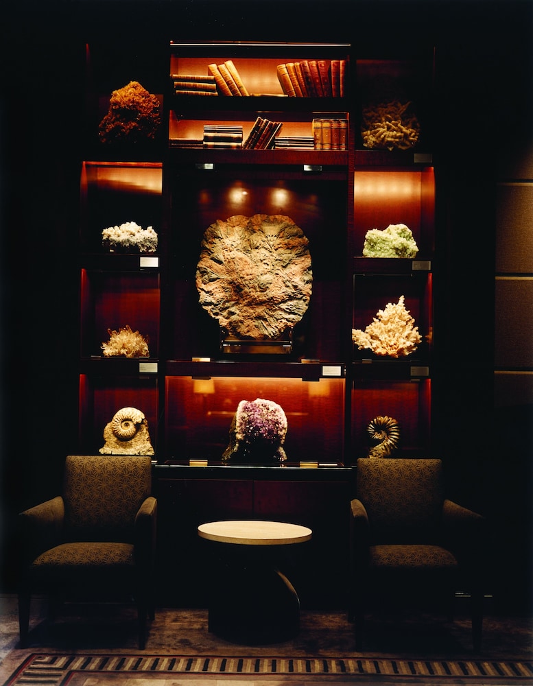 Park Hyatt Chicago 77/91