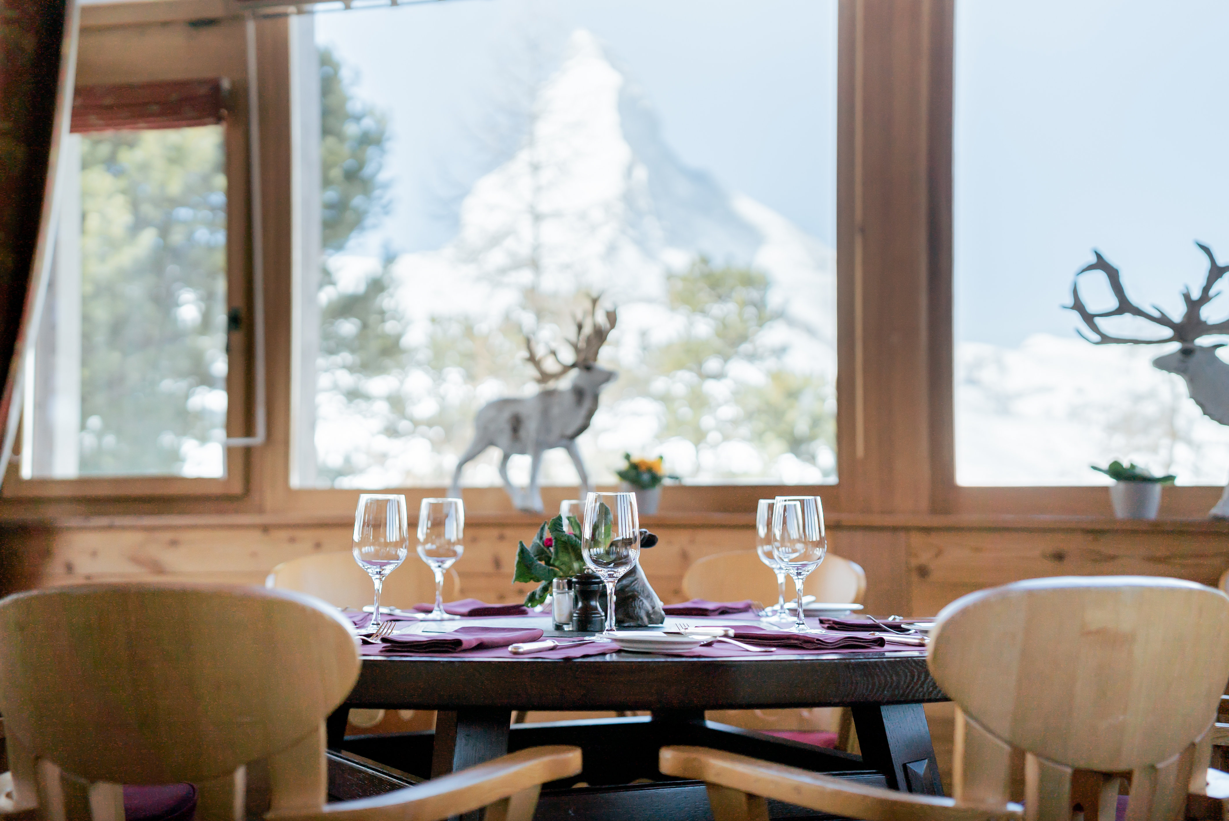 Riffelalp Resort 35/50