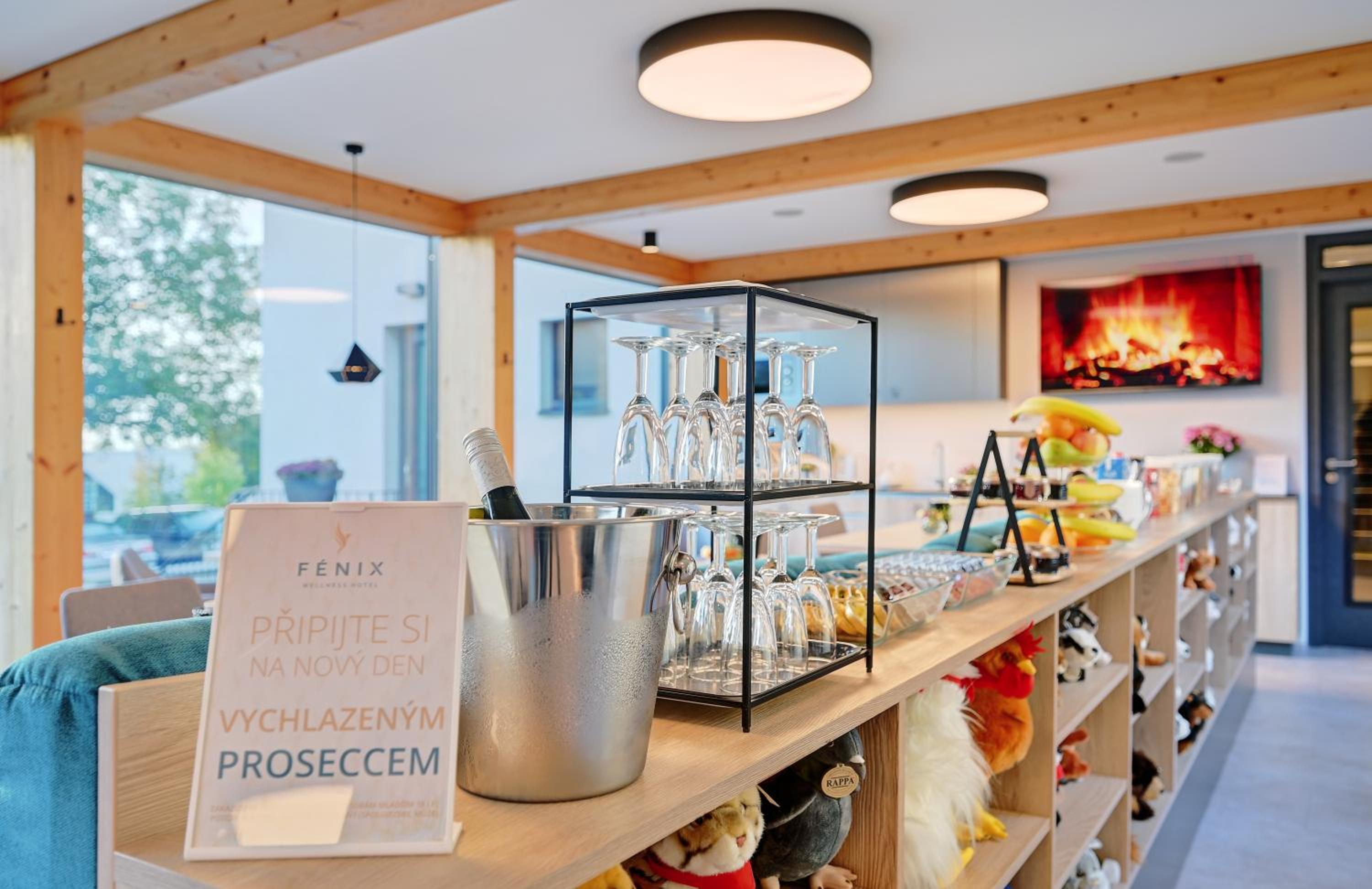 Wellness Hotel Fenix liberec 11/65