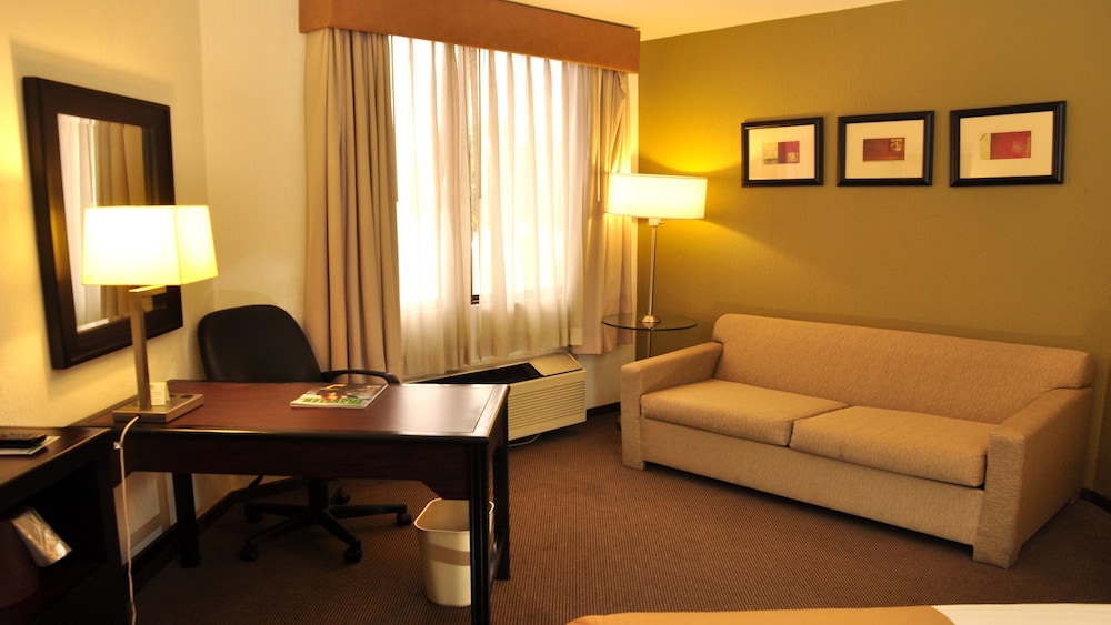 Holiday Inn Tijuana Zona Rio 60/74