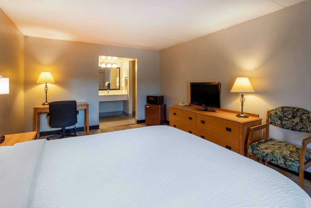 Days Inn by Wyndham Birch Run 13/36
