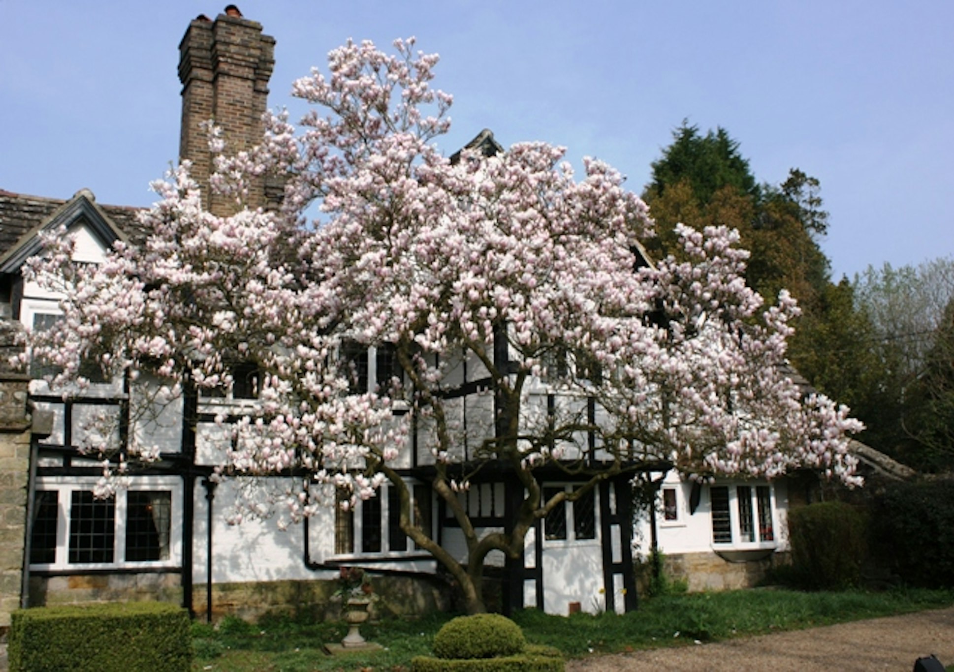 Ockenden Manor Hotel and Spa 9/10