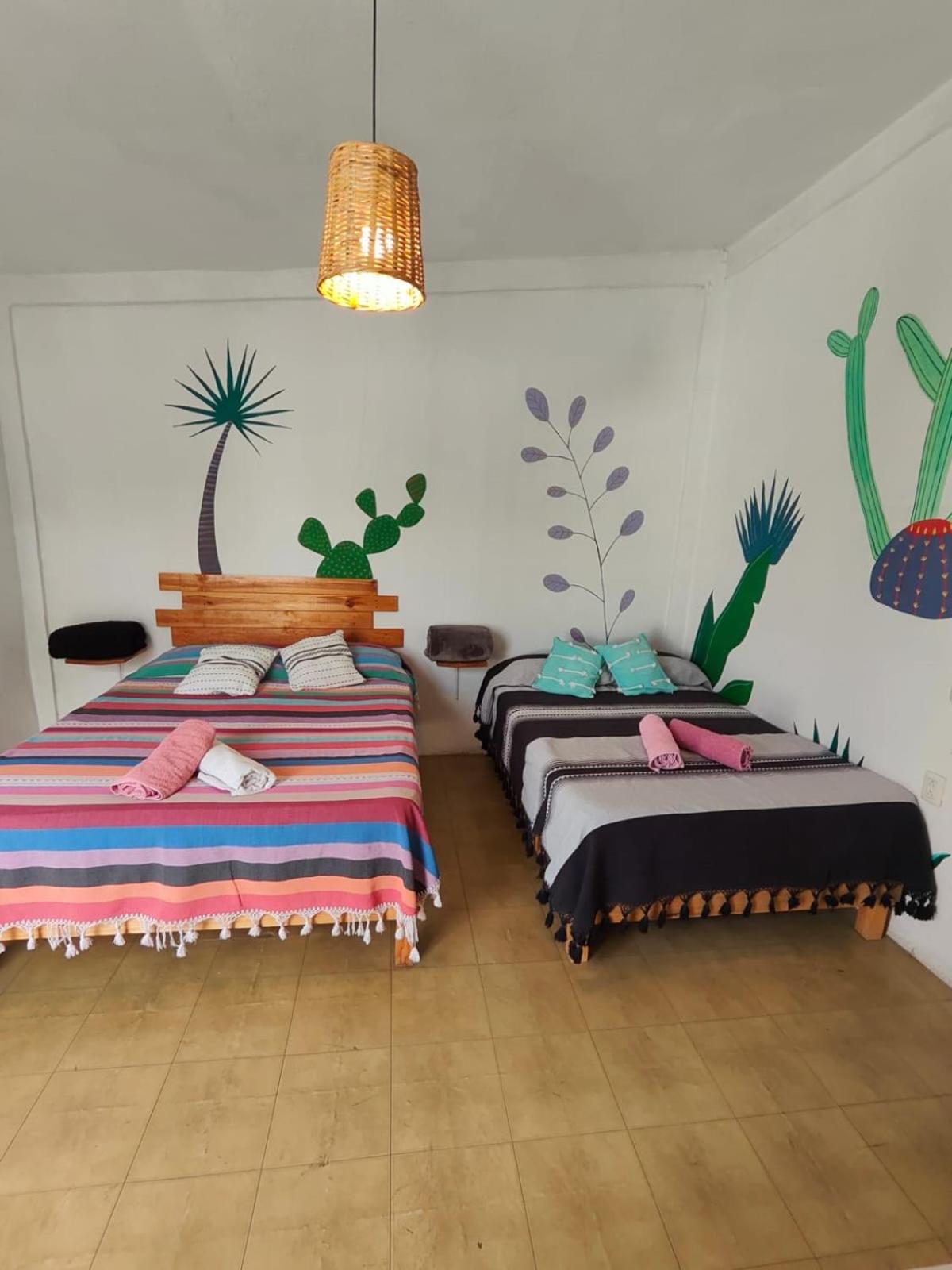 Hotel Casa Maguey 38/50