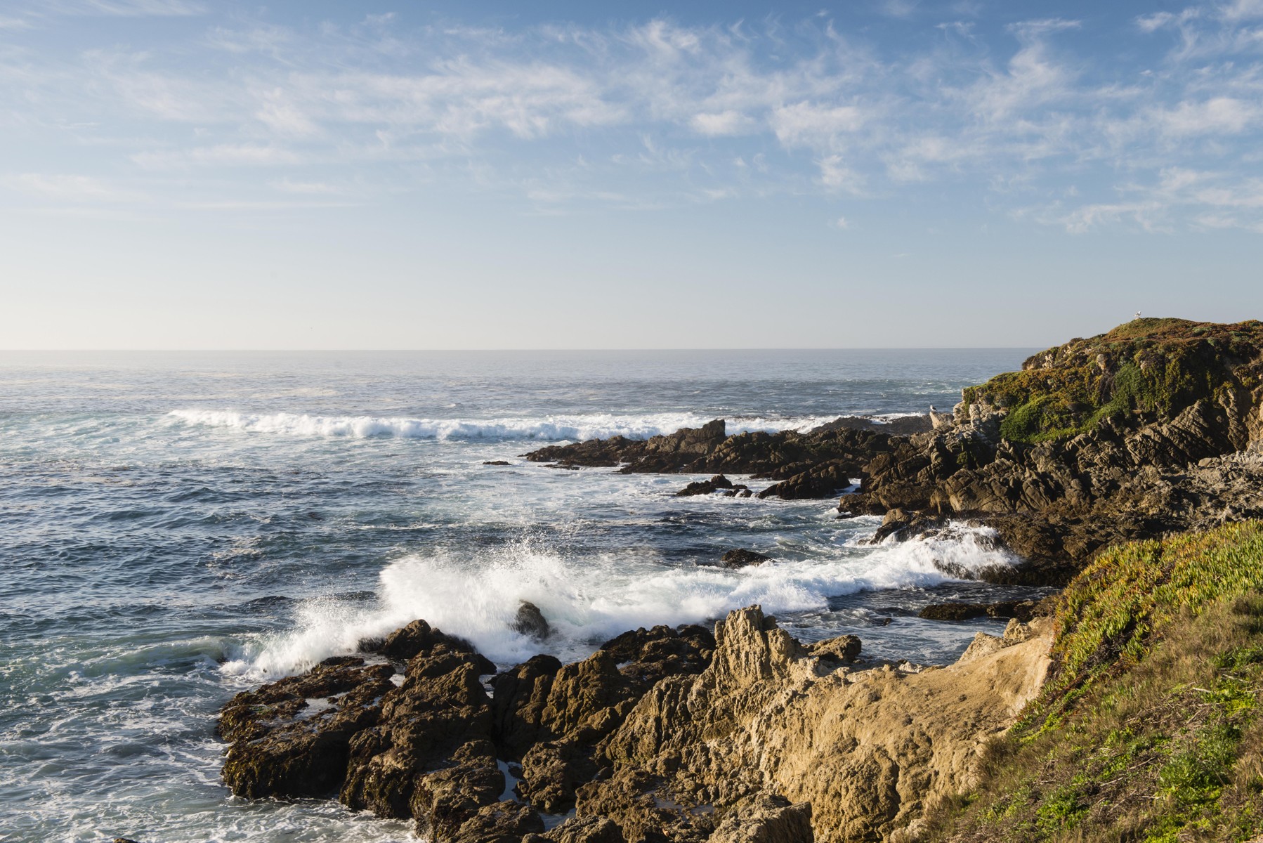 The Inn at Spanish Bay Pebble Beach 31/55