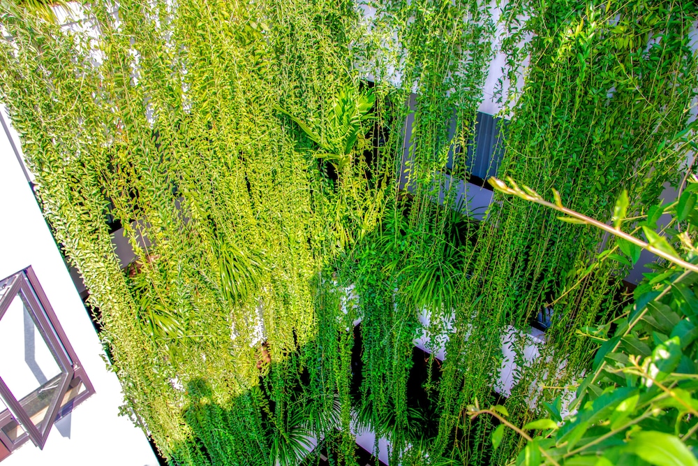 Annie Danang Hotel & Apartment 36/45
