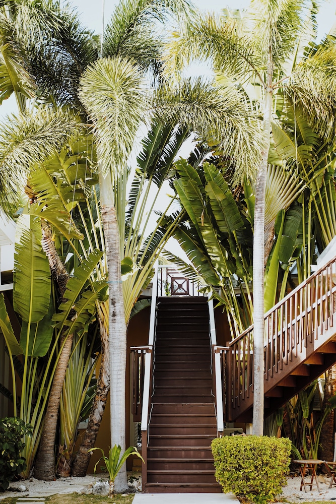 Shangri-La Bed & Breakfast 41/50