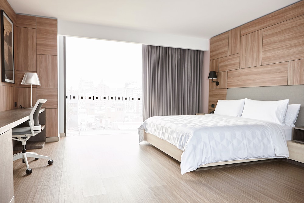 Holiday Inn Lima Miraflores 14/48