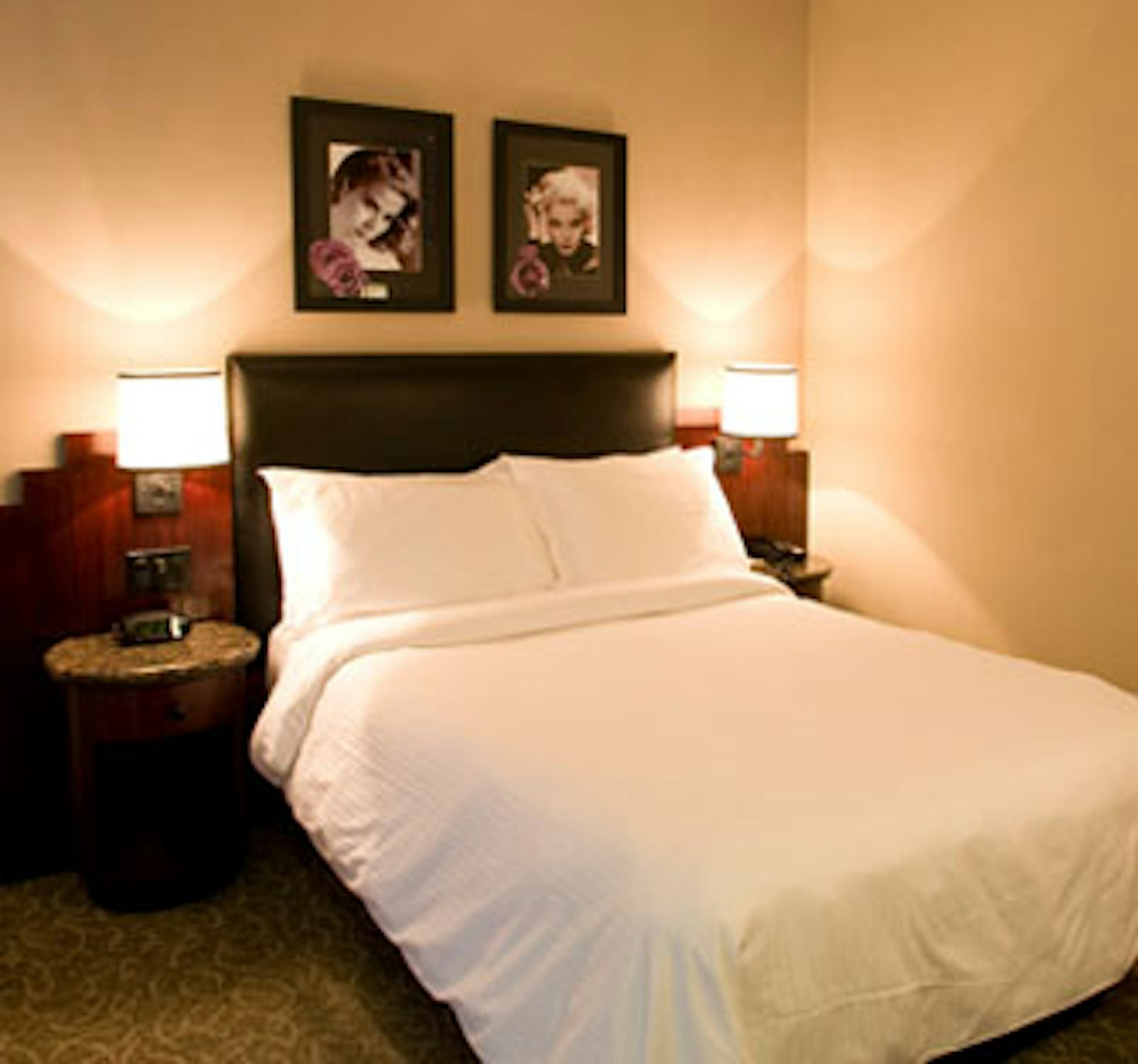 华盛顿广场酒店(Washington Square Hotel) 图片2