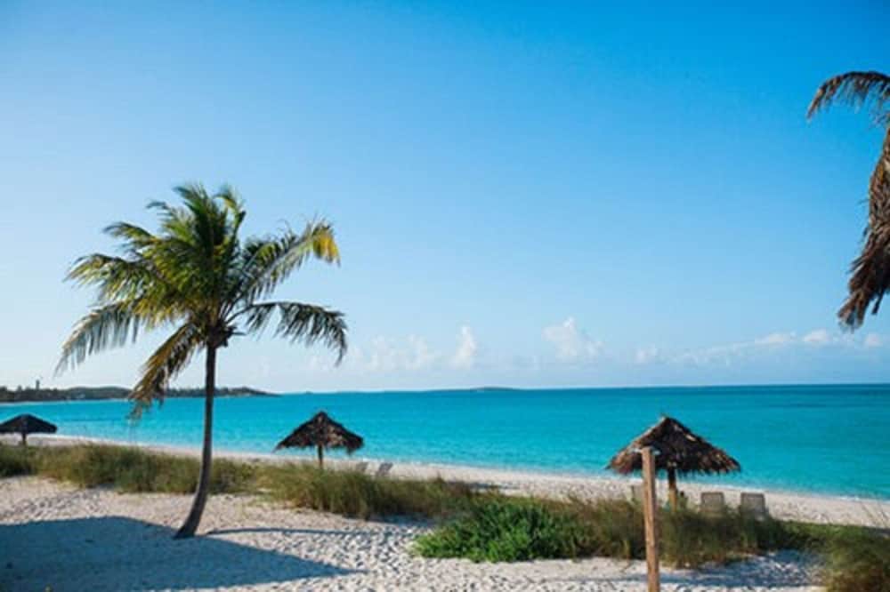 Paradise Bay 39/50
