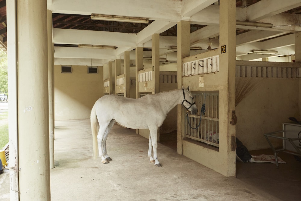 Terengganu Equestrian Resort 50/50