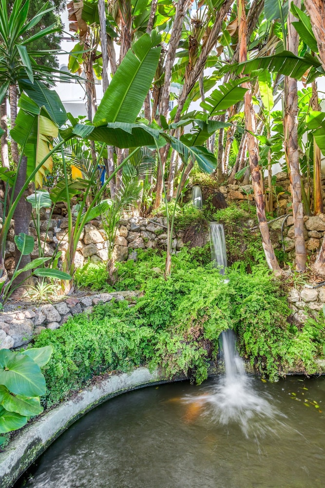 Royal Oasis Club at Pueblo Quinta 46/57
