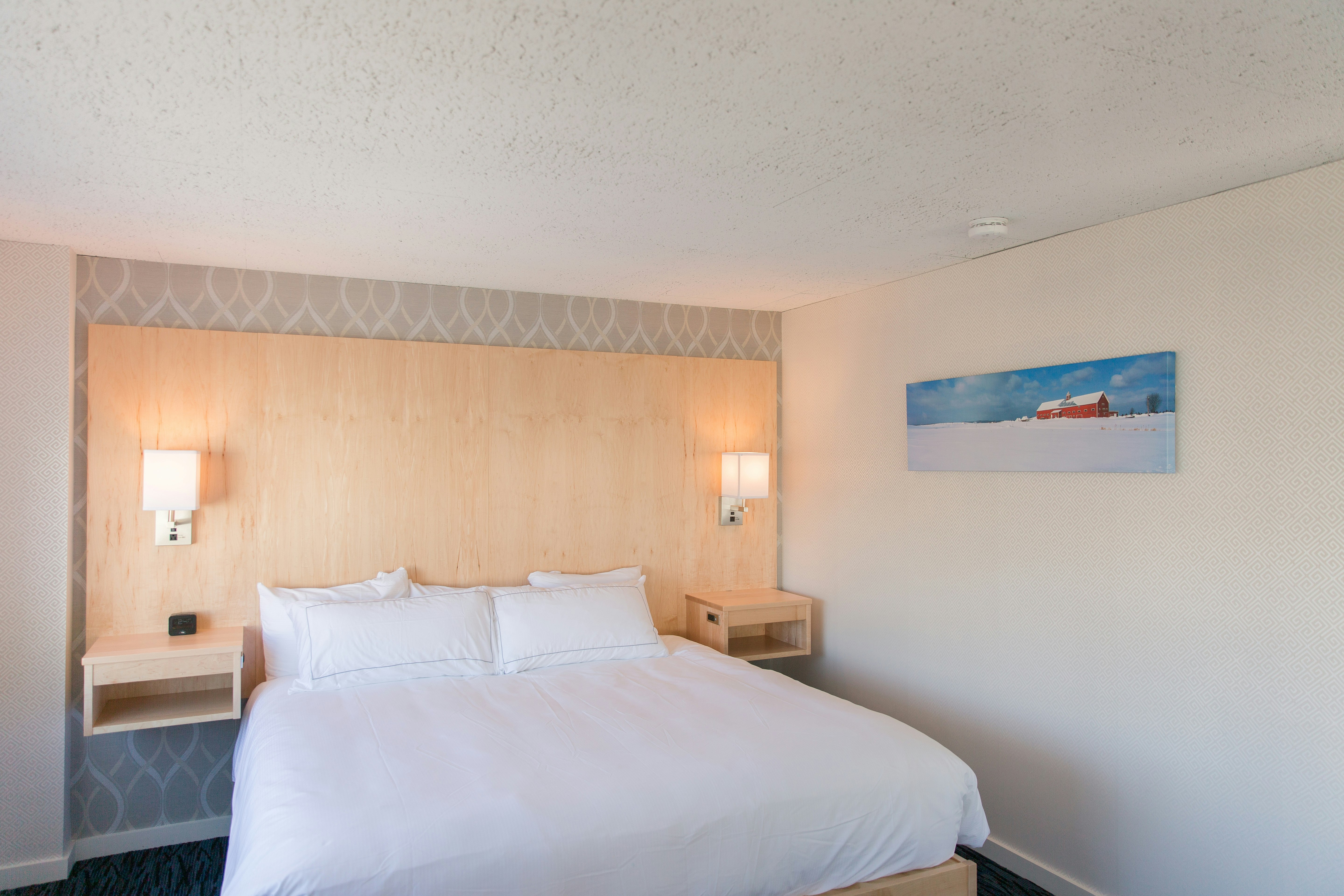 Studio, Suite, King Bed