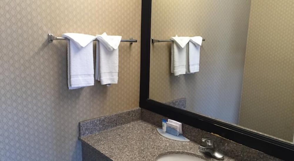 Regency Inn SFO Airport 20/21