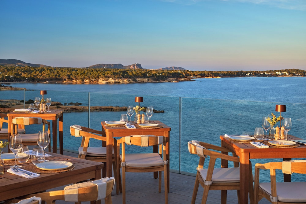 Melia Ibiza 36/49