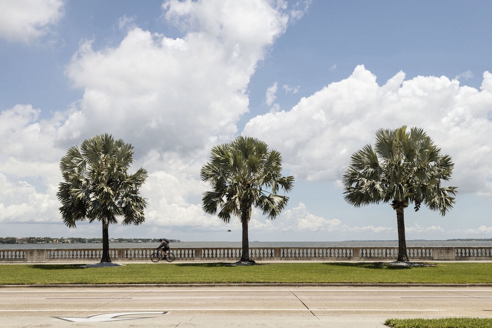 ROOST Tampa 30/50
