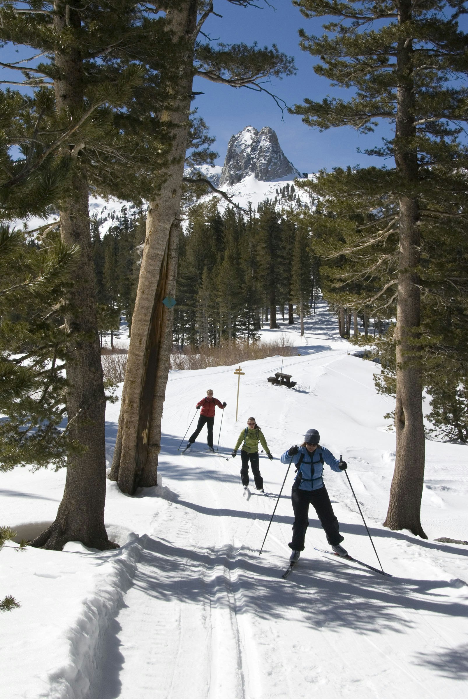 Tamarack Lodge and Resort 12/13