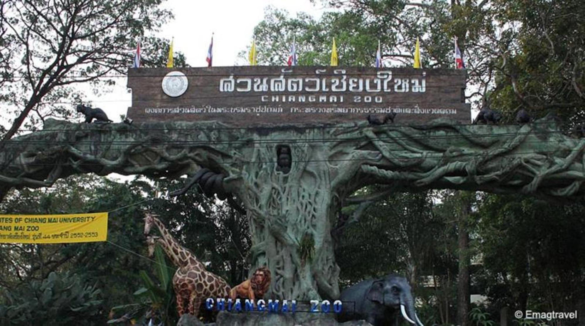 GO INN Chiang Mai University - CMU 1/30
