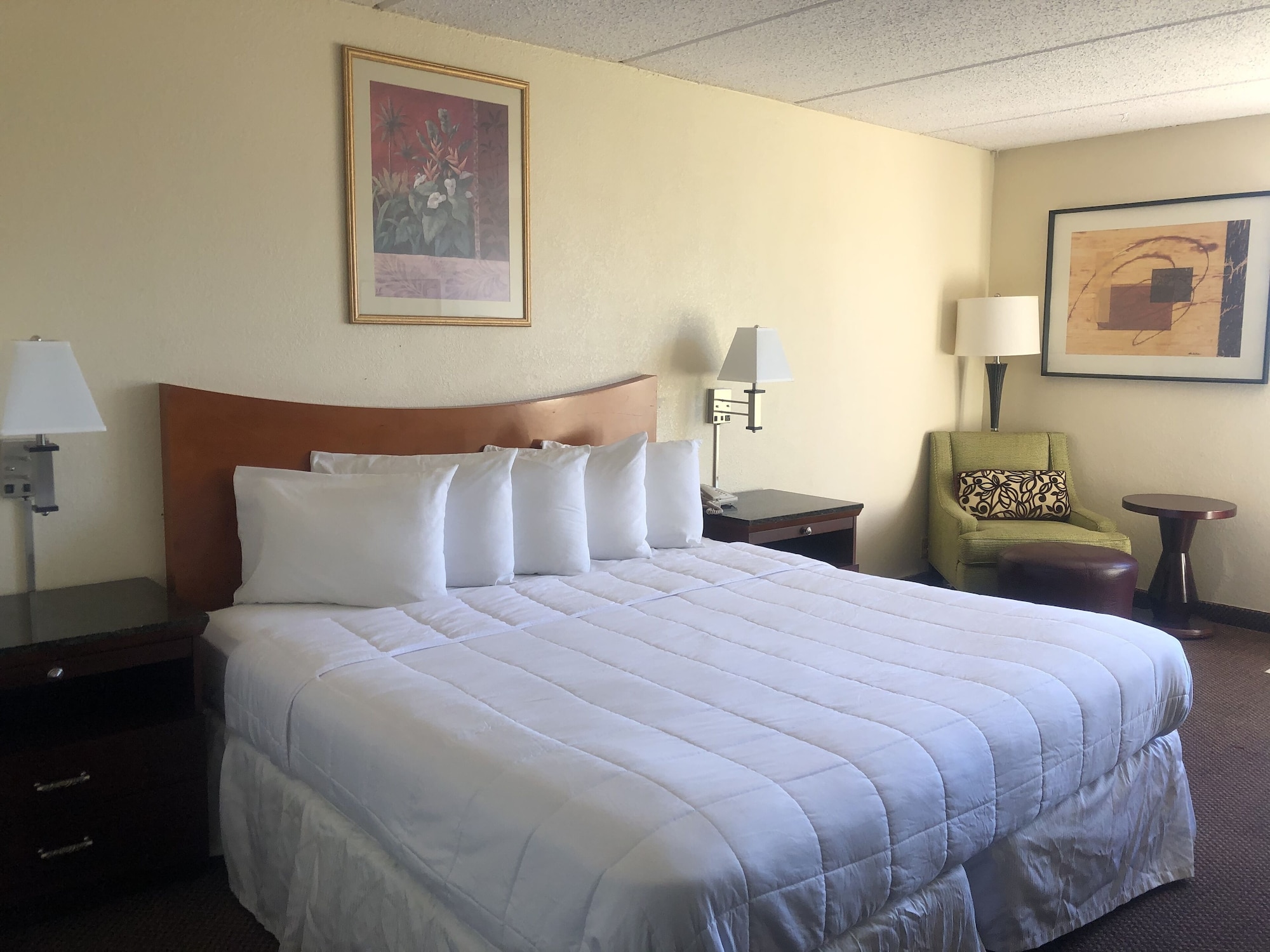 ECONOMY, SINGLE, KING BED