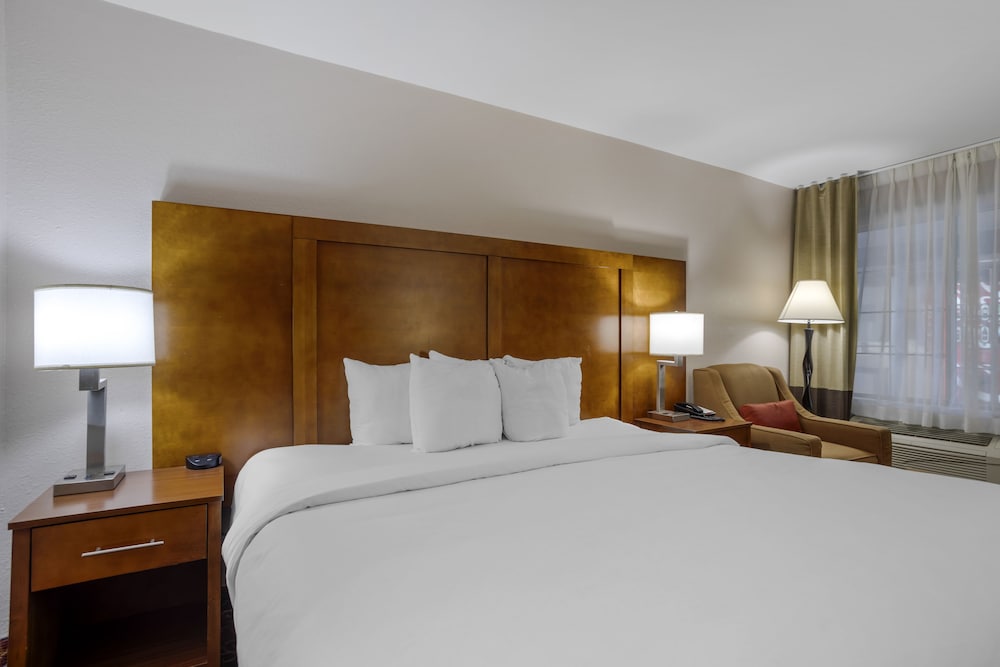 Comfort Inn Downtown Nashville - Music City Center 26/60