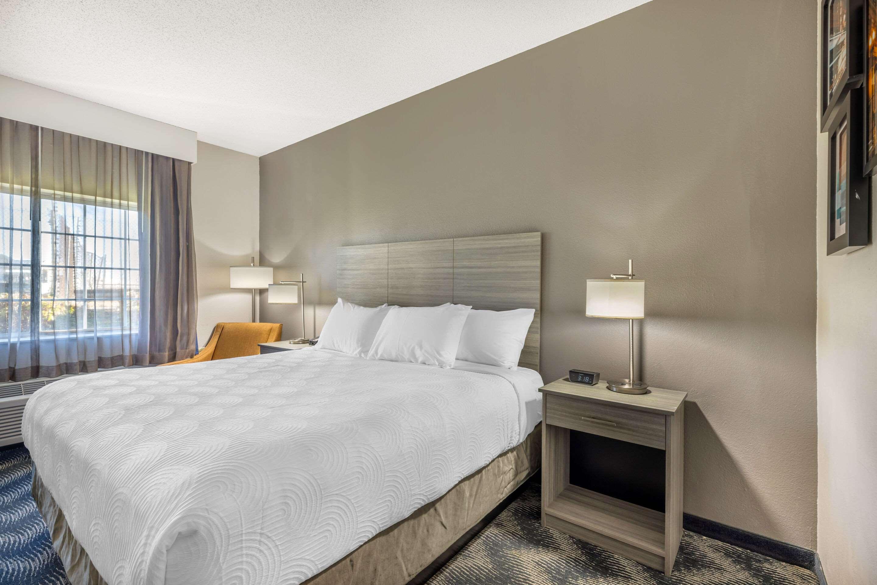 Room, King Bed, Accessible
