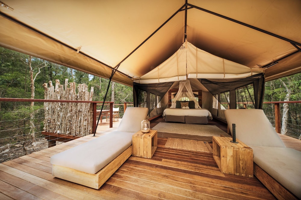 Paperbark Camp 13/48