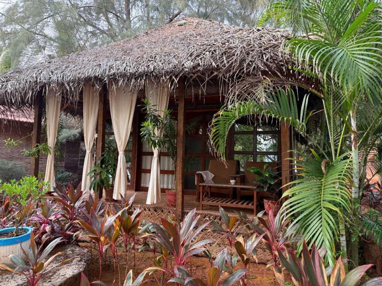 The Bay Agonda 4/50
