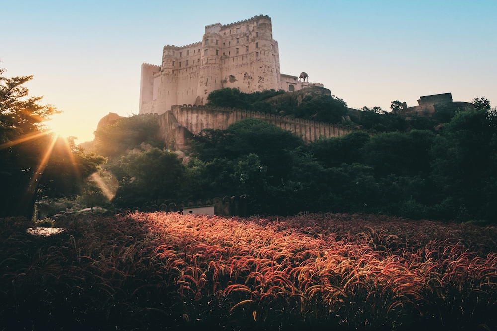 Alila Fort Bishangarh 74/76