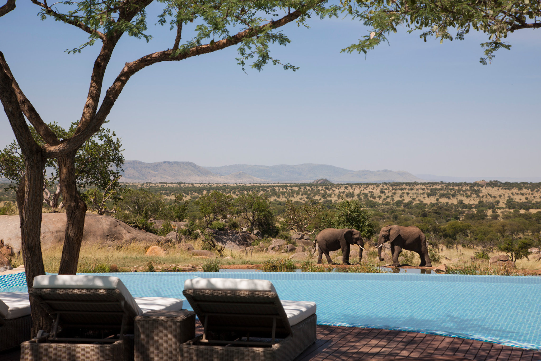 Four Seasons Safari Lodge Serengeti, Tanzania 59/66