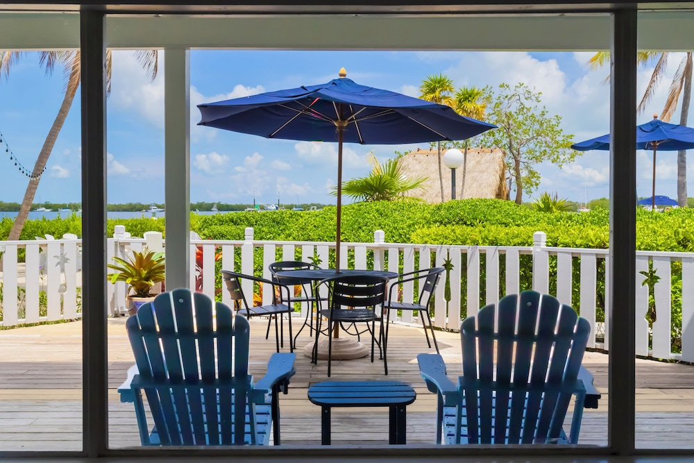 Coconut Palm Inn 36/50