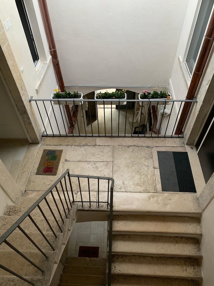 B&B Radici 2/50