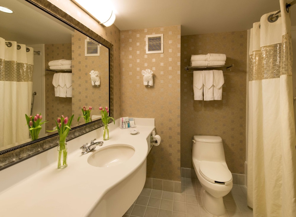 Hampton Inn and Suites Boston-Crosstown Center 14/49