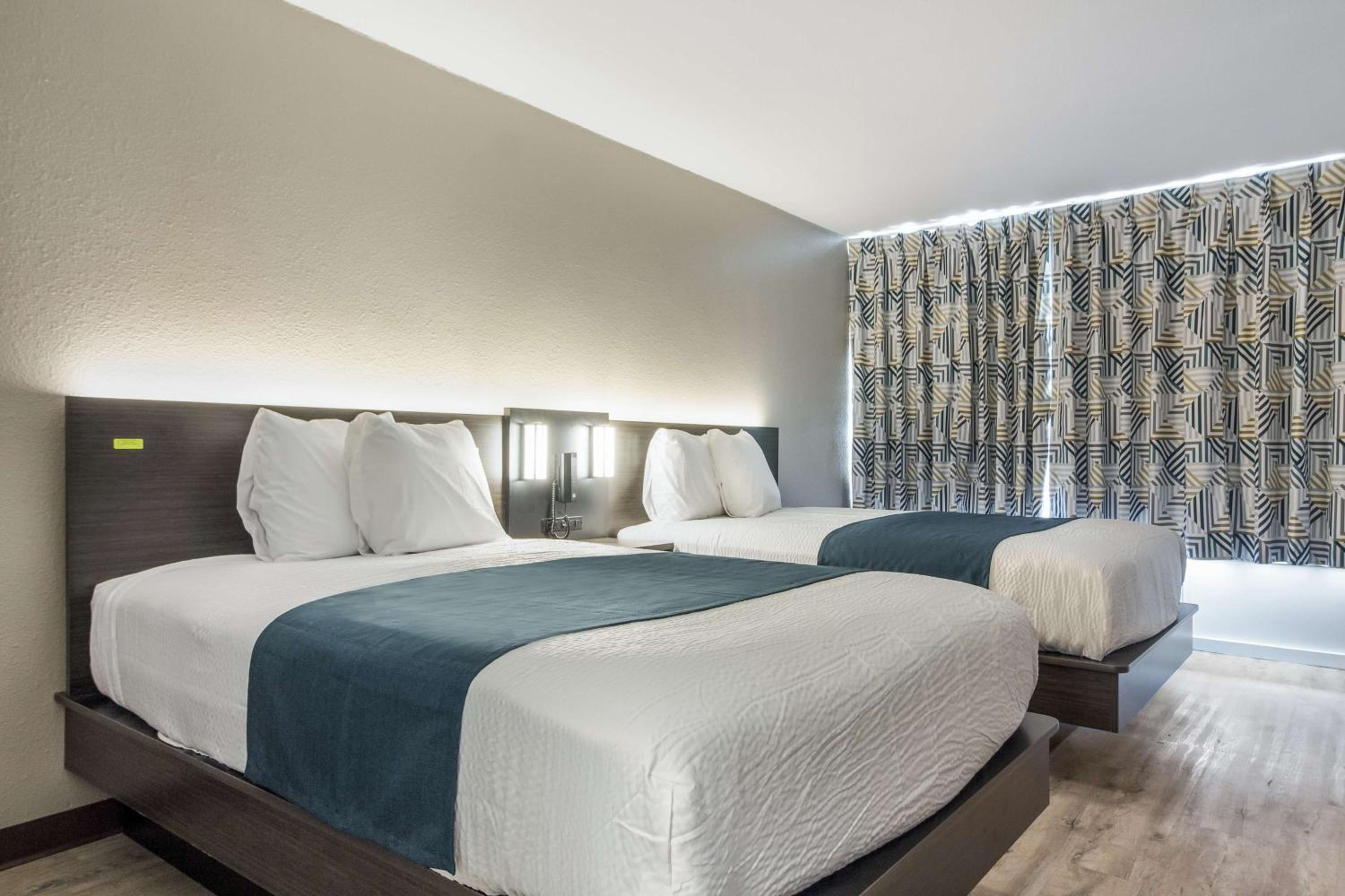 Room, 2 Double Beds, Kitchen