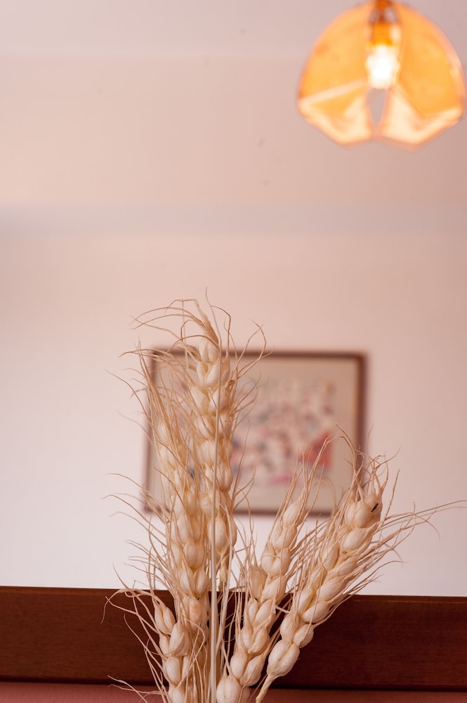 Poco Loco Hotel photo4