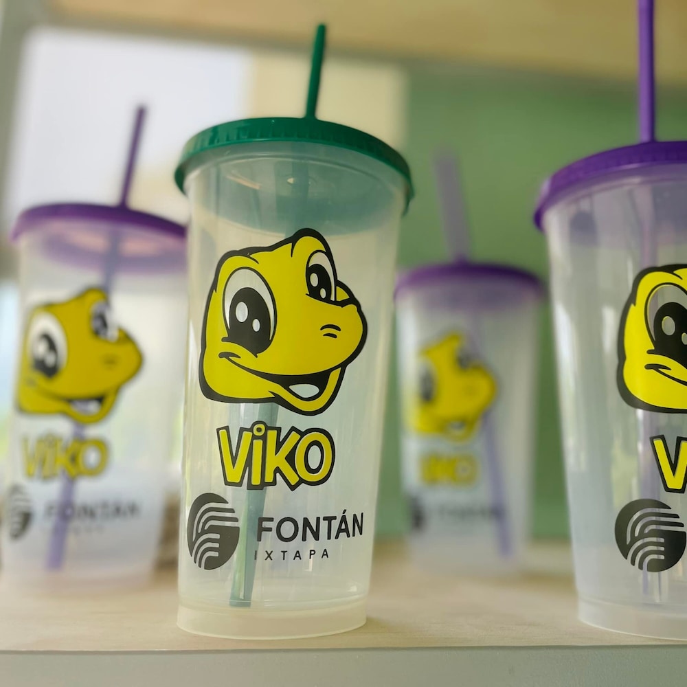 Fontan Ixtapa 16/50