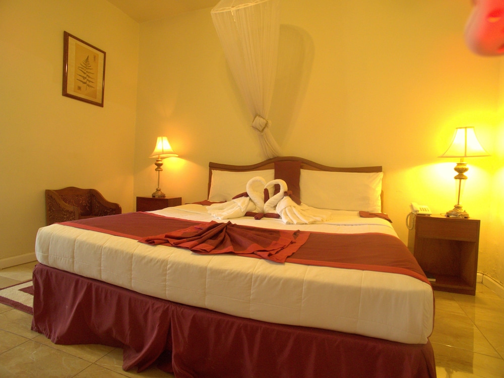 Executive Airport Hotel 11/50
