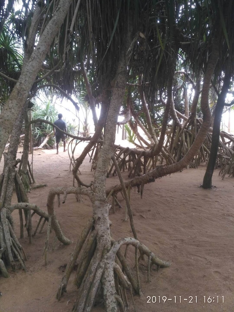 Ravana Beach Cabanas 31/36