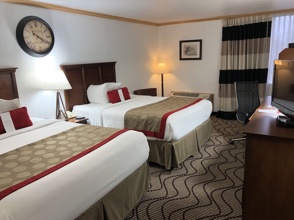 Ramada By Wyndham Birmingham Airport 19/31