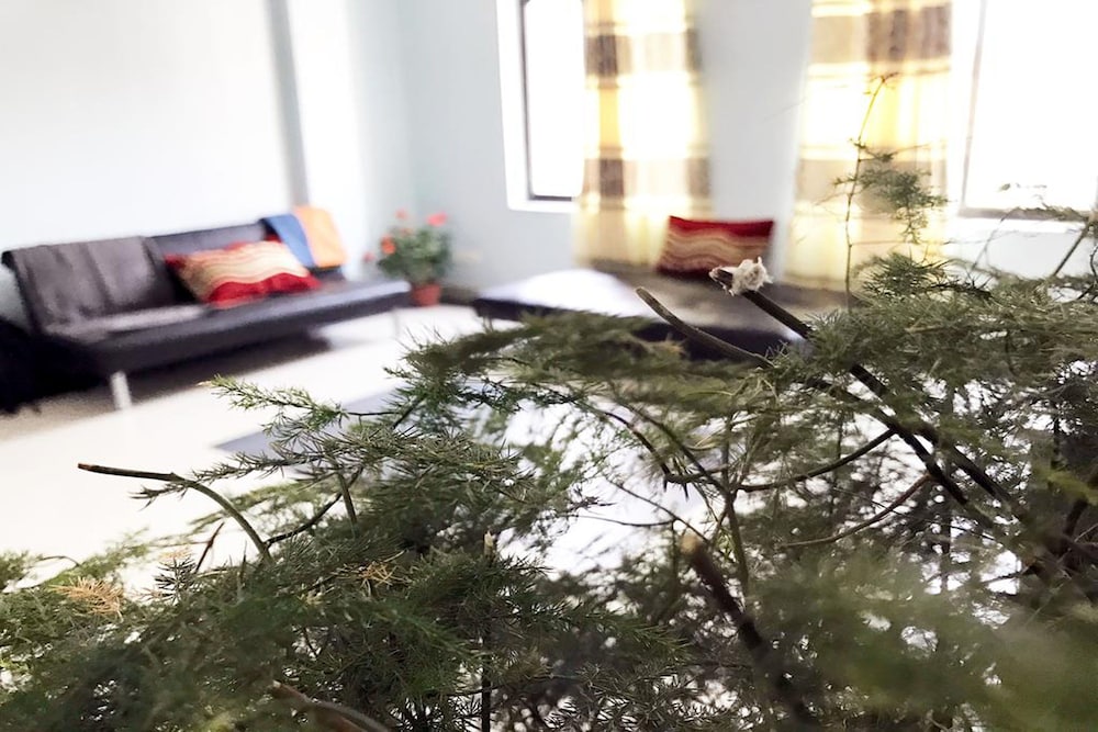 Lazimpat Luxury Apartments 14/19