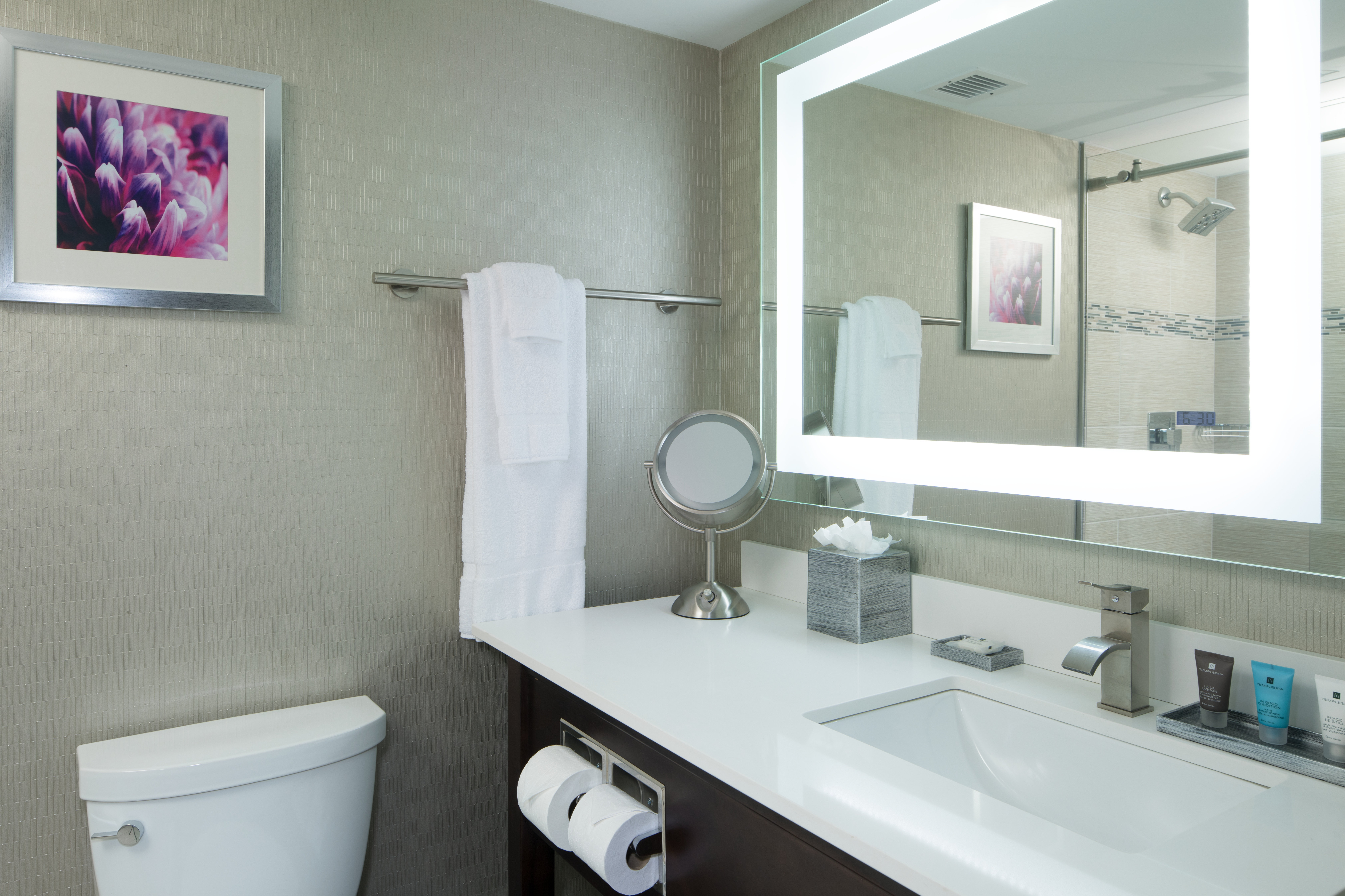 جناح لذوي الإعاقة، Crowne Plaza Chicago Sw Burr Ridge 4/4