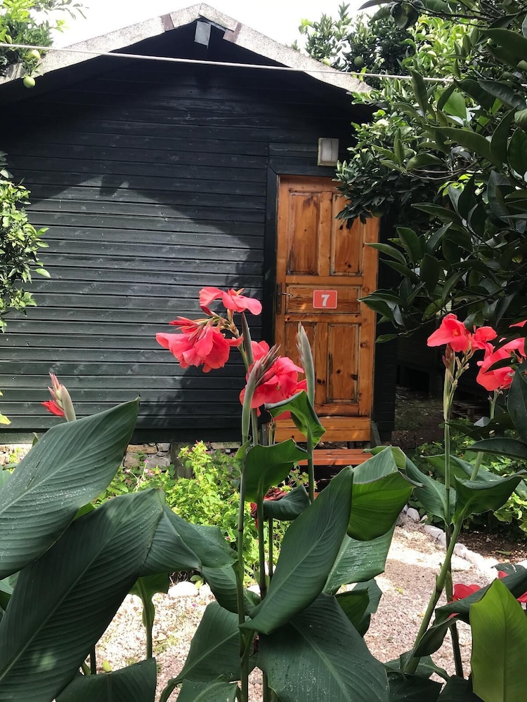 Olympos Tatilya Pansiyon 21/41